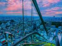 SHIBUYA SKY – Tokyo from Above