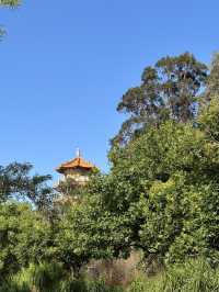 澳洲南天寺vs中天寺