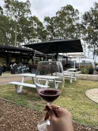 🍷🇦🇺Sipping Through Hunter Valley: A Wine Lover’s Paradise