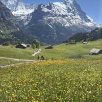 🇨🇭✨ สวิตเซอร์แลนด์ – ดินแดนในฝันที่มีอยู่จริง 🏔️