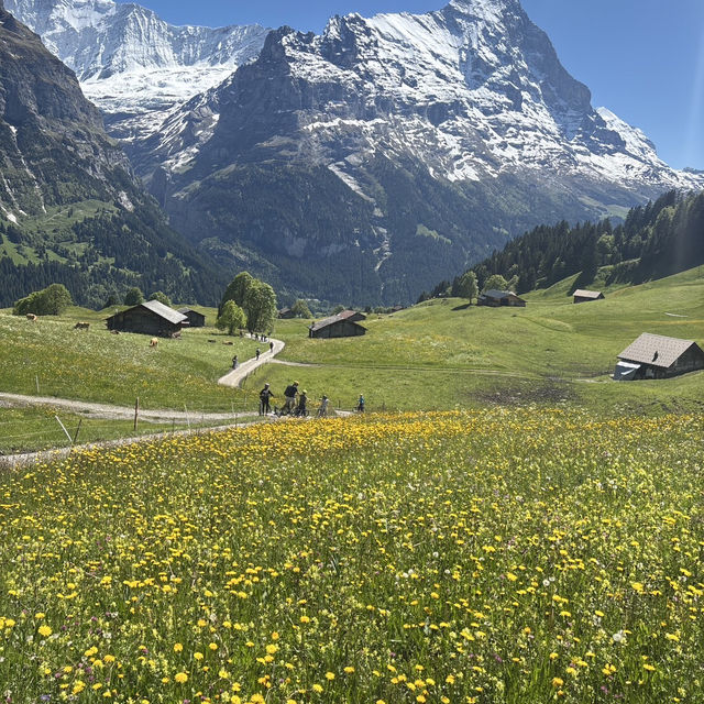 🇨🇭✨ สวิตเซอร์แลนด์ – ดินแดนในฝันที่มีอยู่จริง 🏔️