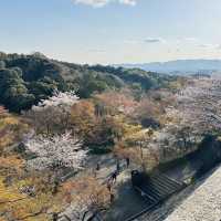 Otowa Waterfall in 2026