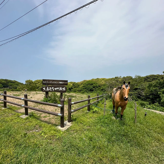 『Fukuoka』🌿 Hidden World Heritage Spot — Discover Munakata Ōshima Island 🌊