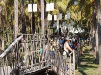 Coconut Dreams & Goat Glee at Chiang Mai’s Hidden Gem!  