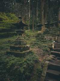 A Hidden Gem Straight Out of a Ghibli Film 🍃⛩️