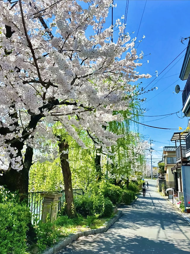 โอซาก้า🇯🇵