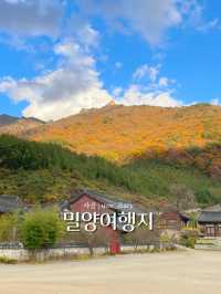 밀양 힐링여행 다녀왔습니다! - 밀양여행지 💛🍀🌿