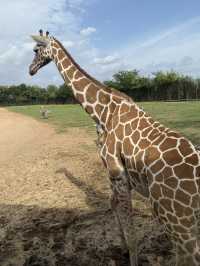 北碧府野生動物園