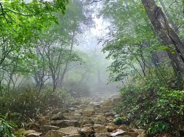 Nature Break in Boeun