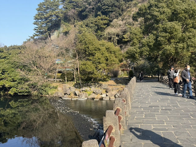 숲길 끝에서 만난 청량한 위로, 제주 천지연폭포