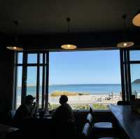Wellington 1 Days Itinerary