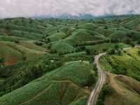 ขับรถเที่ยวหน้าฝน… ชมวิวถนนลอยฟ้า​ 