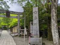 ⛩【栃木・古峰神社】天狗と出会う霊験あらたかな山の神社で、心の浄化旅を