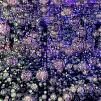 Lost in Light: The Spellbinding World of teamLab Borderless Tokyo 🇯🇵