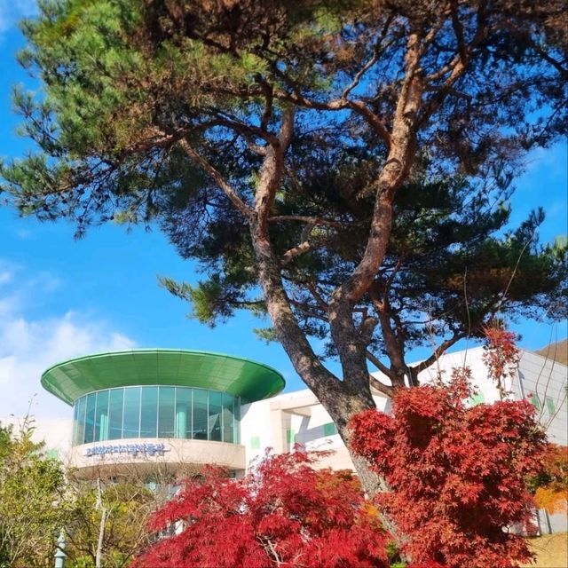 Gangjin City Center Adventures