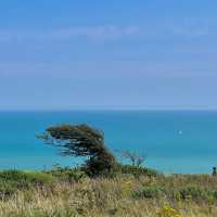 Seven Sisters Cliffs: Summer Memories! 🌊☀️