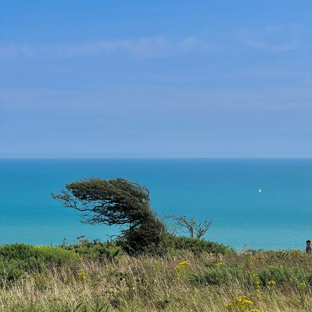 Seven Sisters Cliffs: Summer Memories! 🌊☀️