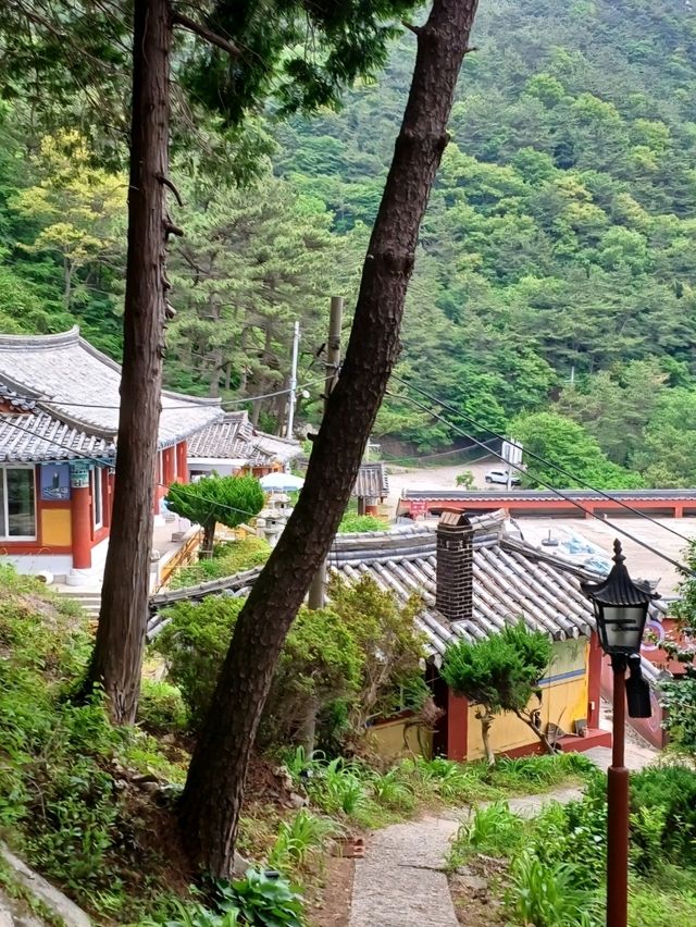 바람과 햇살, 나무가 함께 어우러진 보현암