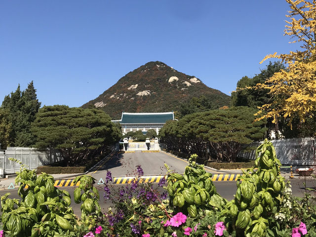 朝鮮王朝の歴史と文化が息づく！ソウル中心部で感じる韓国のルーツ