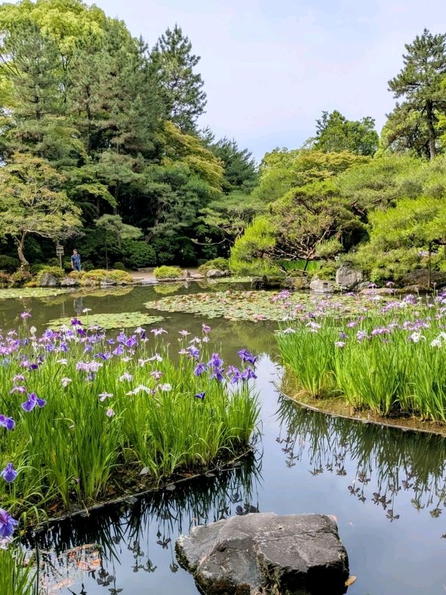 京都 | 平安神宮神苑，彷彿走入莫內的花園