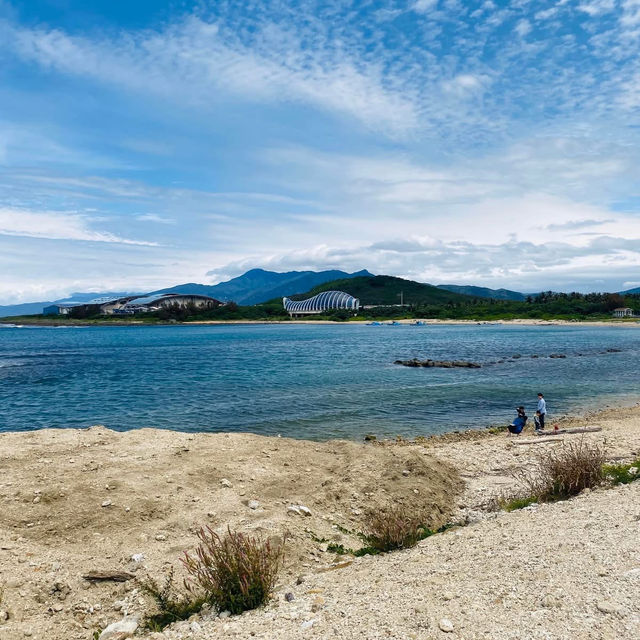 屏東車城 🌊後灣沙灘 大自然的生態教室 還有好多寄居蟹
