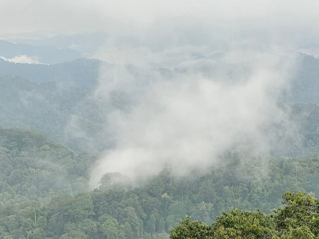 雲の海に包まれる朝。ここはタイの秘境、パノントゥン。」