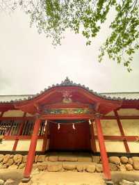 松山｜日本三大八幡造建築 伊佐爾波神社的「必中」傳說