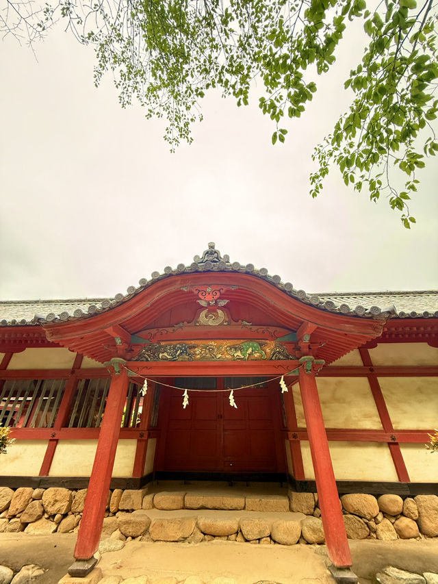 松山｜日本三大八幡造建築 伊佐爾波神社的「必中」傳說