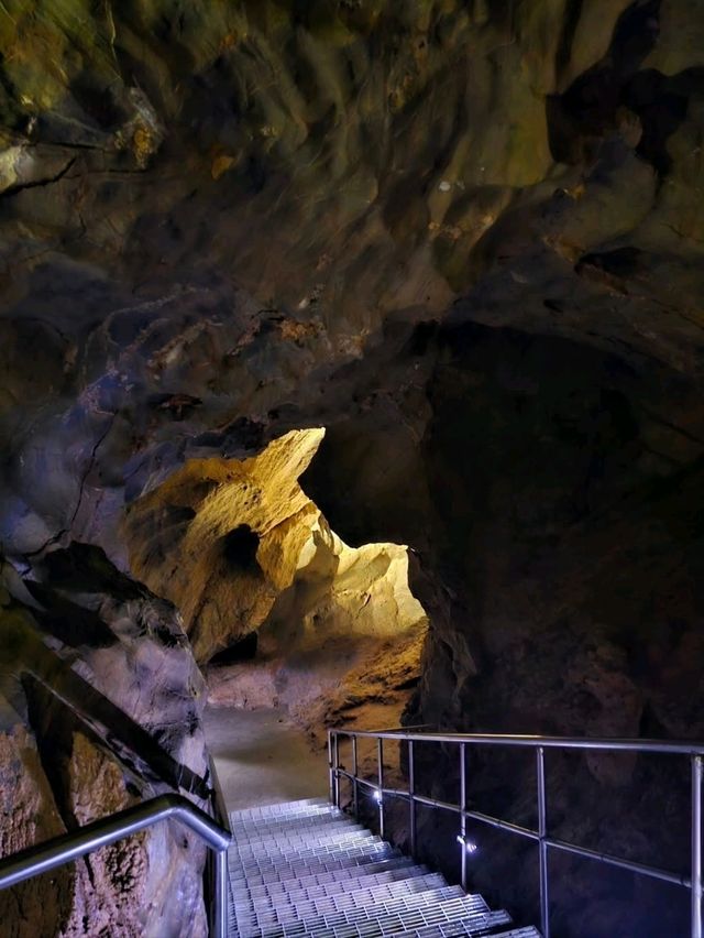 Yeongwol Is Nature Therapy