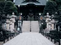From Deer to Disney: My Dreamy Days in Japan