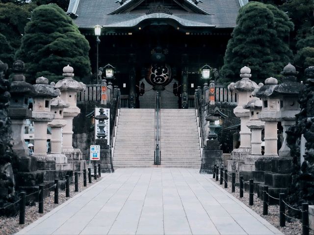 From Deer to Disney: My Dreamy Days in Japan