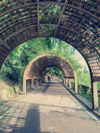 台灣東部 後花園 台東森林公園