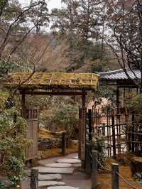 京都·天授庵｜青苔、木廊、錦鯉和古都的慢時間