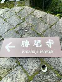 📍 Katsuo-ji – วัดดารุมะแห่งชัยชนะในโอซาก้า⛩️