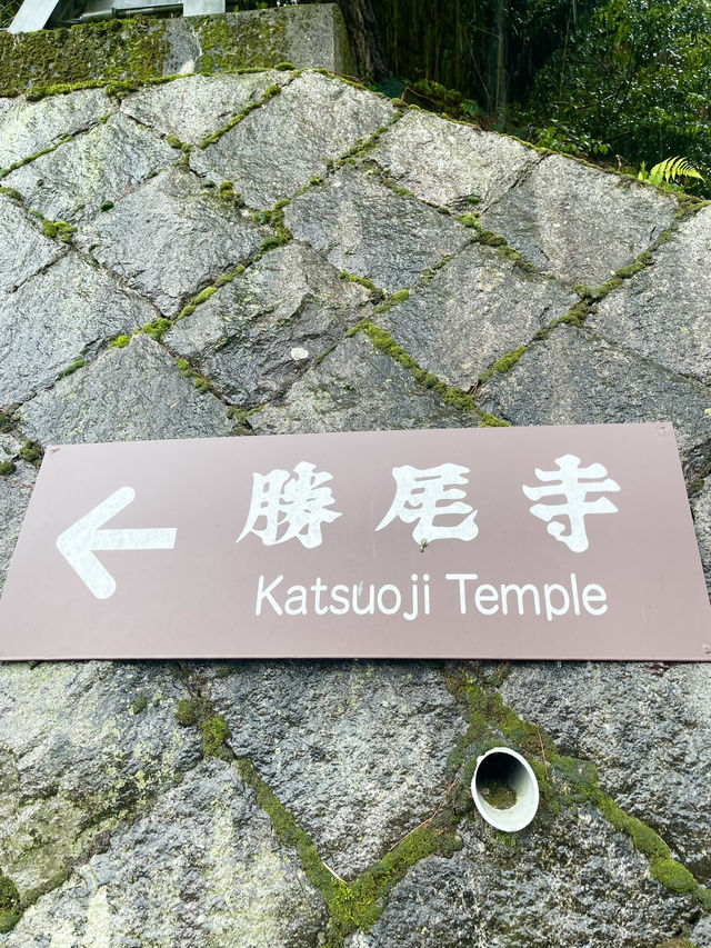 📍 Katsuo-ji – วัดดารุมะแห่งชัยชนะในโอซาก้า⛩️