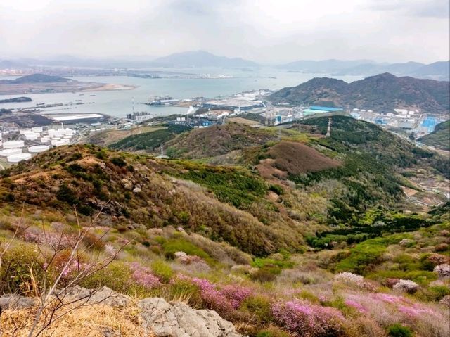 Sea Breezes & Mountain Chill
