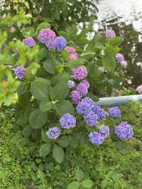 花に癒される！季節の花畑͛💠有名な観光地は？