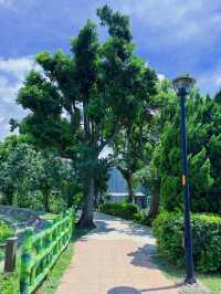 🌿 桃園八德｜高城埤塘生態公園：水鳥會跑來打招呼的靜謐小天地 🐦✨