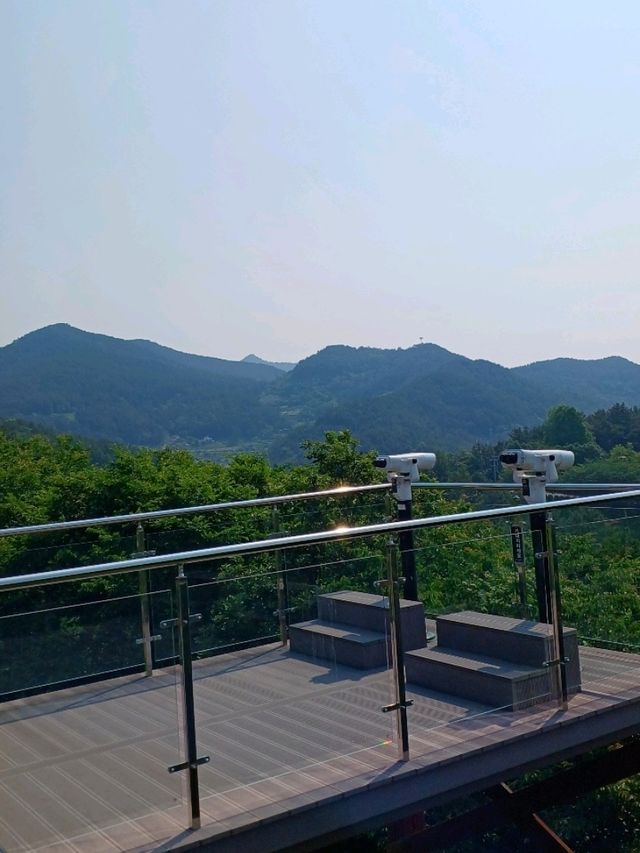 바닷물에 새겨진 공룡의 인상🦖