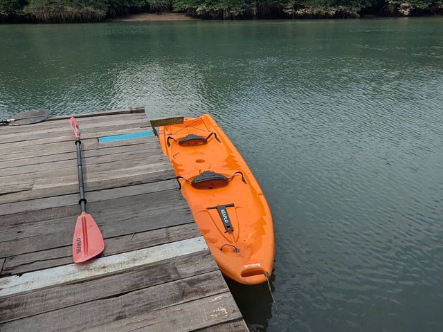 Outdoorgate Sepang Mangrove River Kayaking