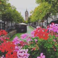 🏛️✨ Delft City Hall (Stadhuis) Summer Visit: A Dutch Renaissance Masterpiece  