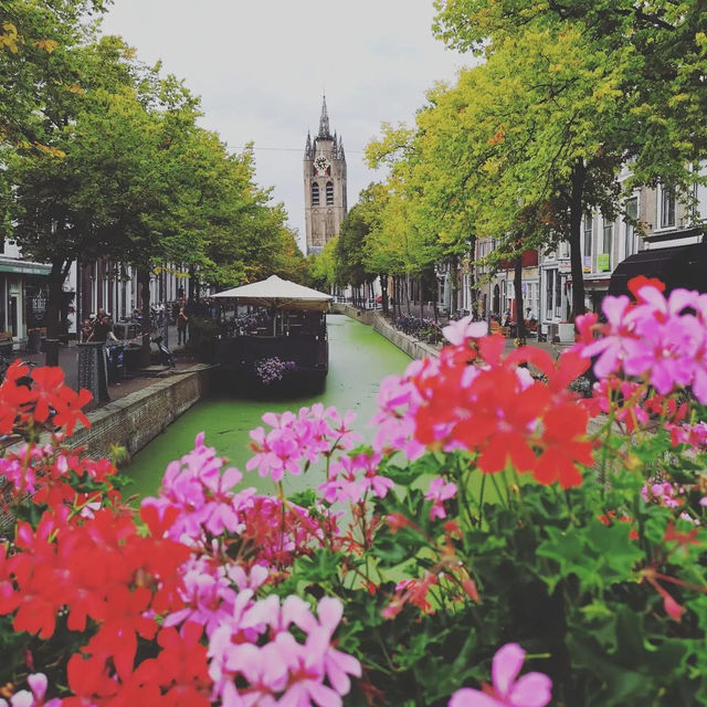 🏛️✨ Delft City Hall (Stadhuis) Summer Visit: A Dutch Renaissance Masterpiece  