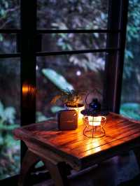🍃 นอนริมลำธารกันมั้ย? ที่ Bee Forest แม่ออน 🌿