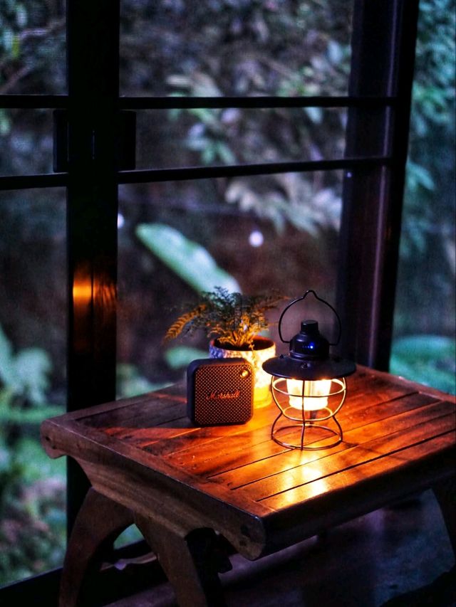 🍃 นอนริมลำธารกันมั้ย? ที่ Bee Forest แม่ออน 🌿