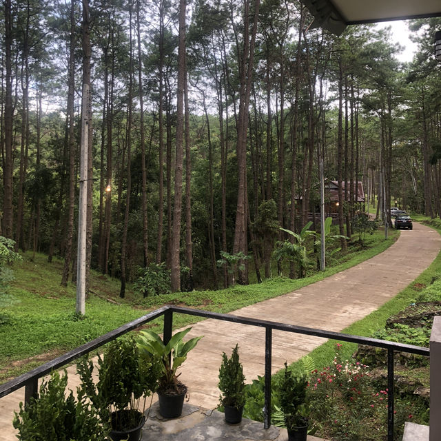 🌲Doi Bo Luang FIO – ที่พักกลางสวนป่าสน ในเชียงใหม่