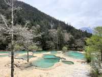 🏞️Epic Nature Combo: Huanglong + Jiuzhaigou Summer Adventure