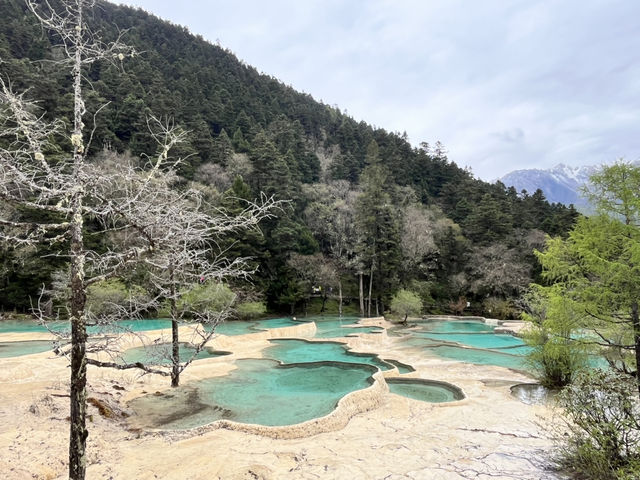 🏞️Epic Nature Combo: Huanglong + Jiuzhaigou Summer Adventure