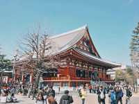 Magic, Blossoms & Organized Chaos — Tokyo’s Unforgettable Energy