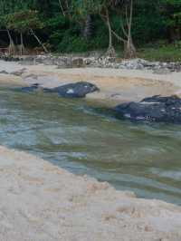 หาดในหาน
