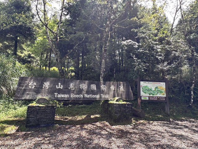 翠峰湖。臺灣山毛櫸步道